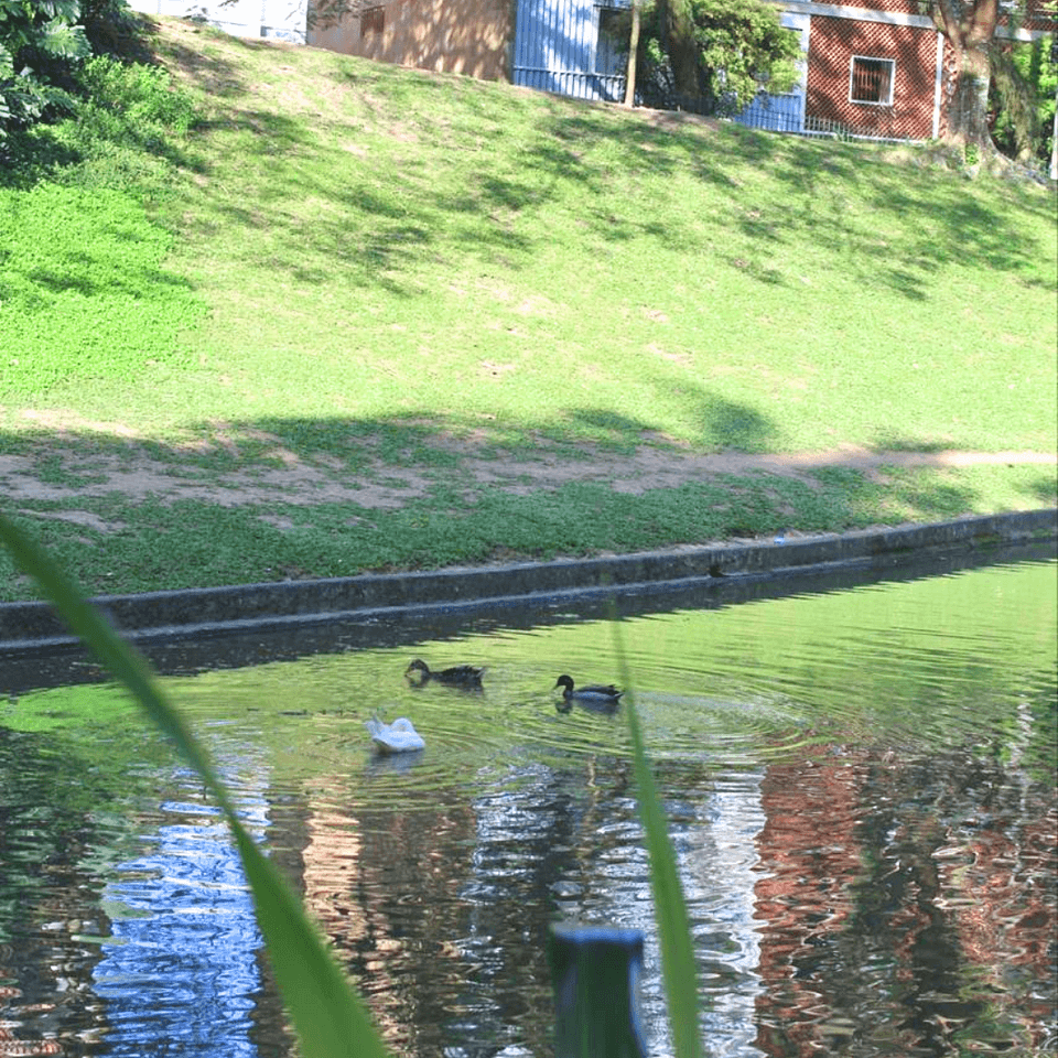 Parques e Áreas Verdes no Rio